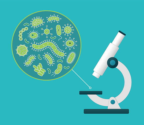 illustrazioni stock, clip art, cartoni animati e icone di tendenza di germi verdi visti da un microscopio bianco - bacterium virus magnifying glass green