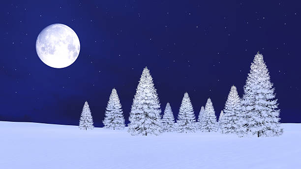 istock Snowy firs and full moon in night sky 628606990