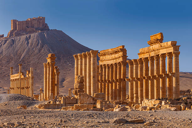 Palmyra stock photo