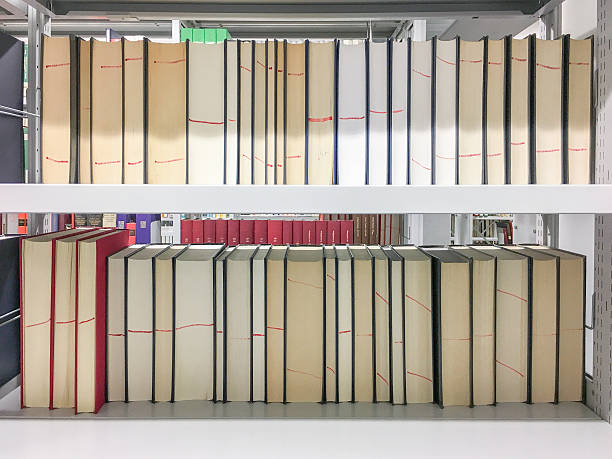 istock books in a row in a public library 628611346