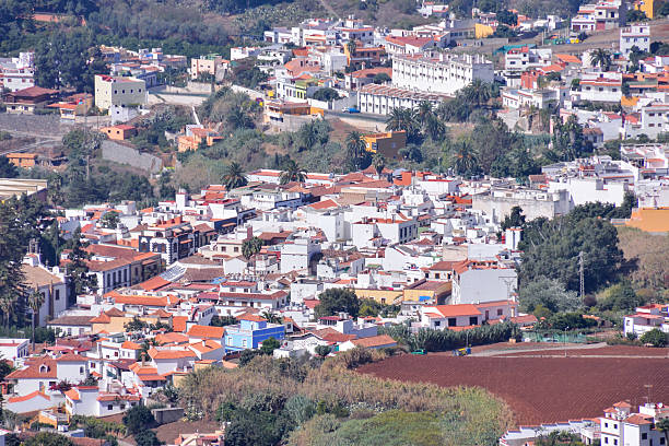 istock Landscape in Tropical Volcanic Canary Islands Spain 628613812