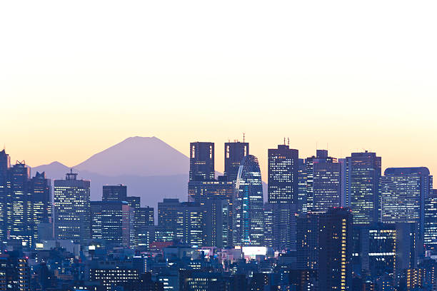 istock Tokyo Skyline at Dusk 628614716