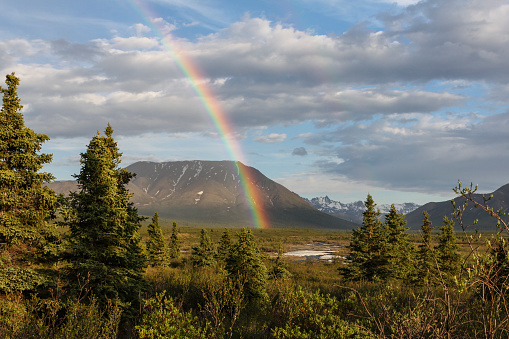Rainbow at Savage River Campground, Denali National Park, Alaska