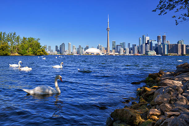 istock Toronto in the morning 628619670