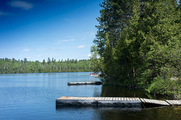 istock contryside ontario canada nature sunny day on the lake 628620032