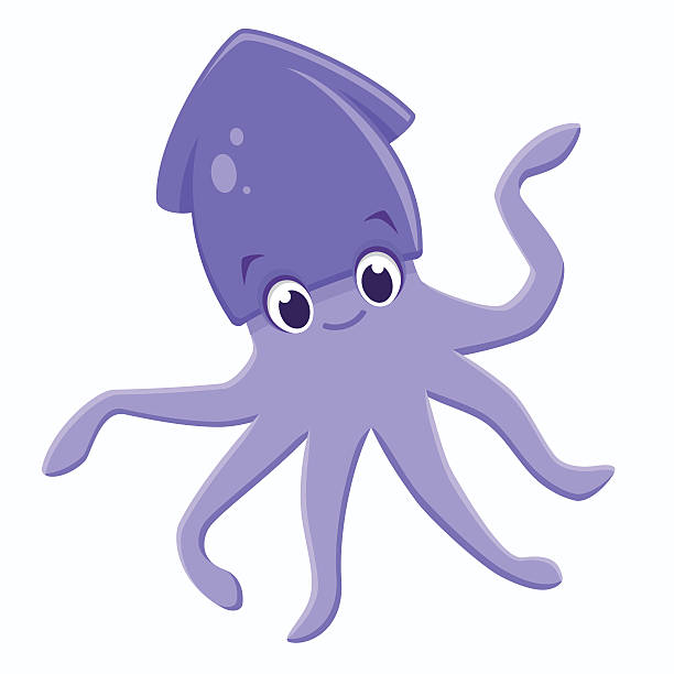 Cartoon Squid vector art illustration