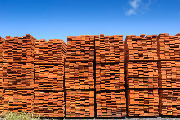 zbliżenie stos tylko częściowo redwood przetwarzanego - timber lumber industry redwood stack zdjęcia i obrazy z banku zdjęć