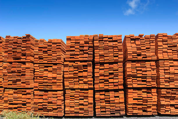 крупный план куча просто измельченный побережье redwood lumber - timber lumber industry redwood stack стоковые фото и изображения