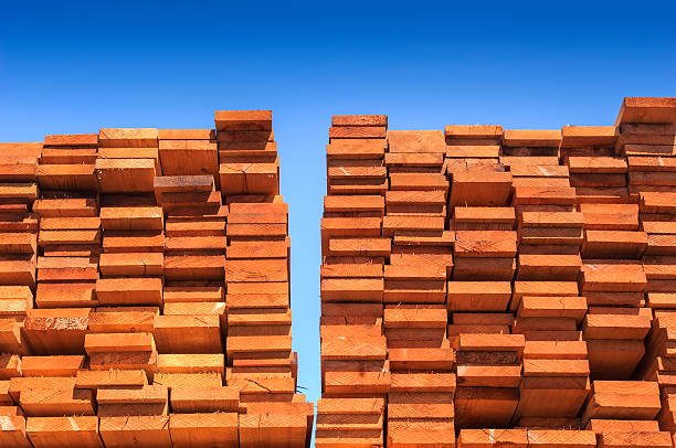 zbliżenie stos tylko częściowo redwood przetwarzanego - timber lumber industry redwood stack zdjęcia i obrazy z banku zdjęć