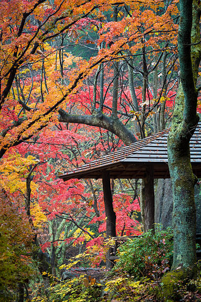 Autumn in Shosenkyo Gorge
