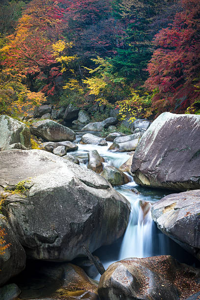 Autumn in Shosenkyo Gorge