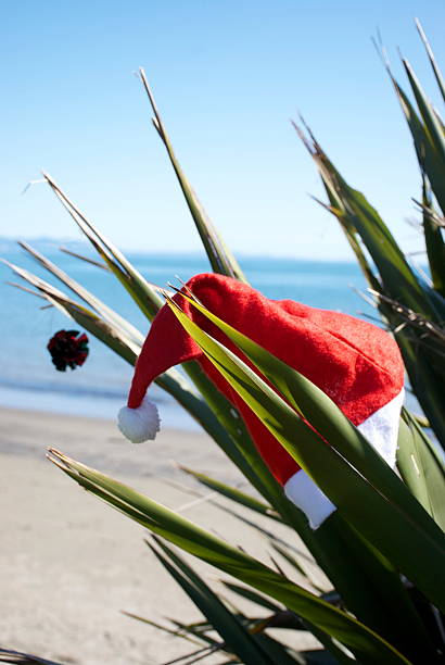 istock Kiwiana Christmas Themed Image 628651138