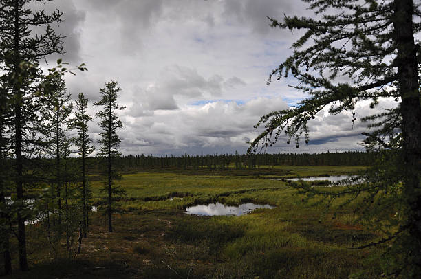 istock There is lake in the green meadow. 628658786