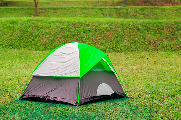 istock Green dome tent on green grass in camping site 628659910