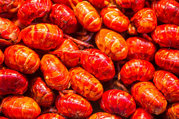 Chinese small lobster stir frying with chili