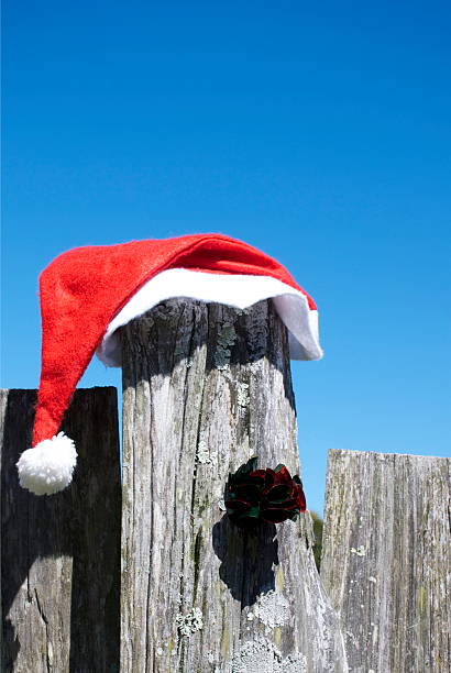 istock Kiwiana Christmas Rural Themed Image 628660226