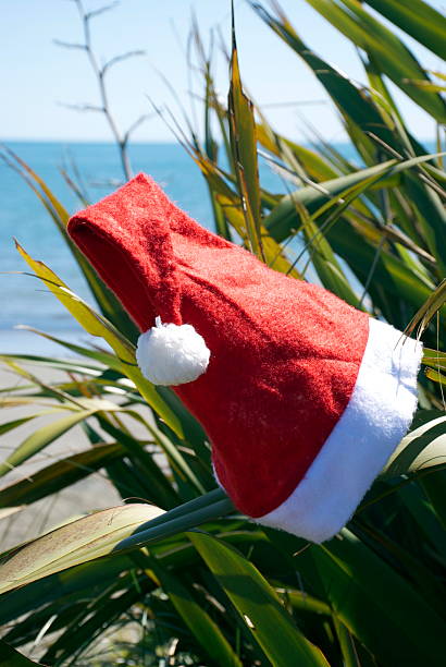 istock Kiwiana Christmas Themed Image 628660330