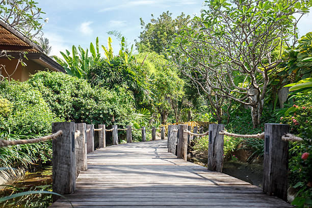istock Wooden path in a tropical garden 628660818