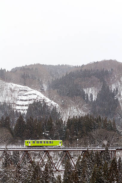 istock akita nairikusen 628661962