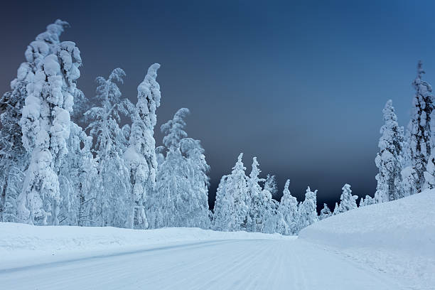 istock Winter landscape - rural road at night with big trees 628662622