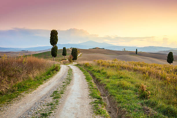 istock Landscape at sundown time - ground road and beautiful cypresses 628662938