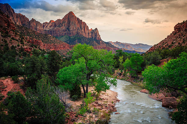 istock Twilight on Zion River, Zion National Park, Utah 628662950
