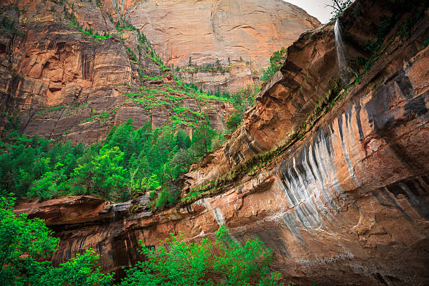 istock Emerald Pool Falls, Zion National Park, Utah 628663208