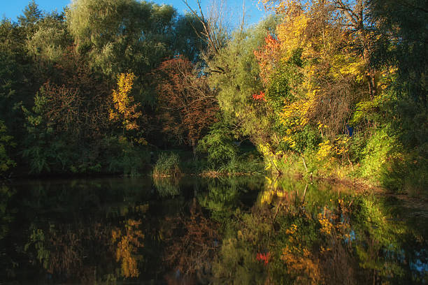 istock Autumn morning in park 628666394