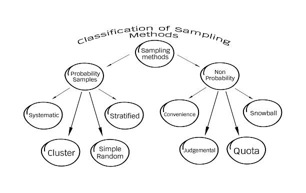 The Probability Sampling and Non-Probability Sampling Method Business and Marketing or Social Research Process, Classification of Sampling Methods The Probability and Non-Probability Sampling in Qualitative Research. stratified epithelium stock illustrations