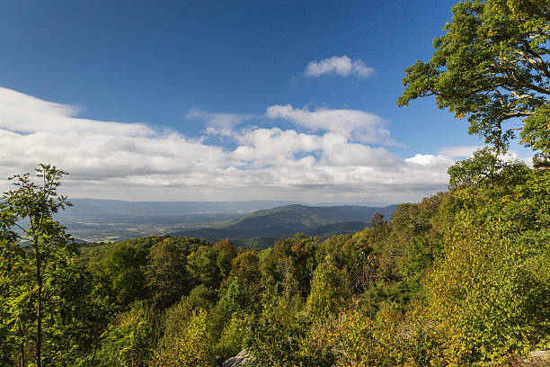 istock The Blue Ridge Mountains of Virginia 628696648