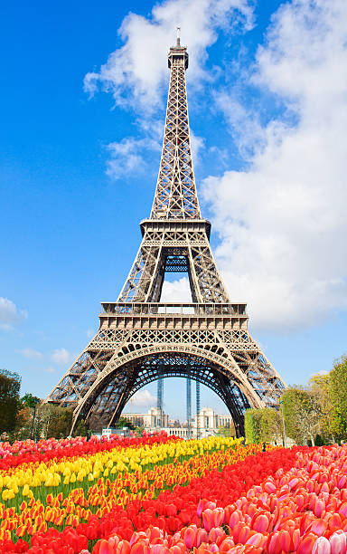 istock Eiffel tower close up, France 628709674