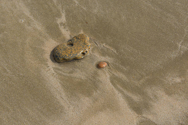istock wet pebble in the sand 628710056