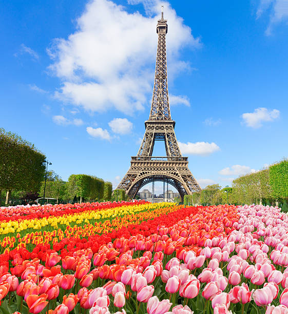 istock Eiffel tower close up, France 628710266