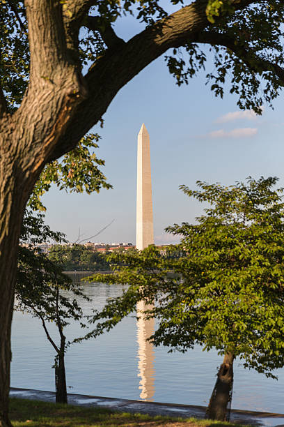 istock The Washington Monument on the Mall and a reflection 628710466