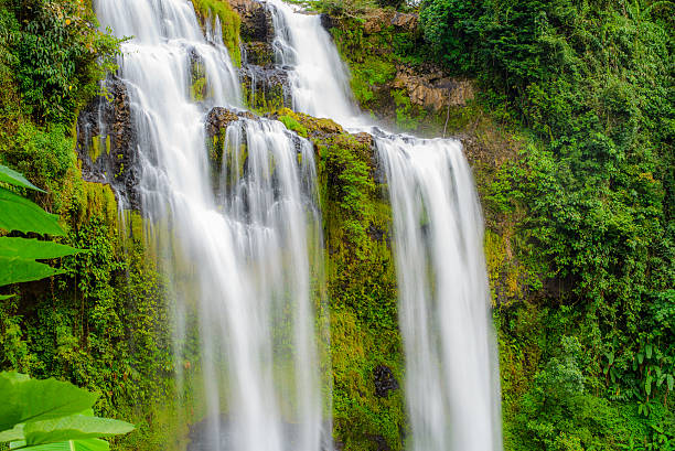 istock Tad Yeung waterfall in tropical country, Laos 628710578