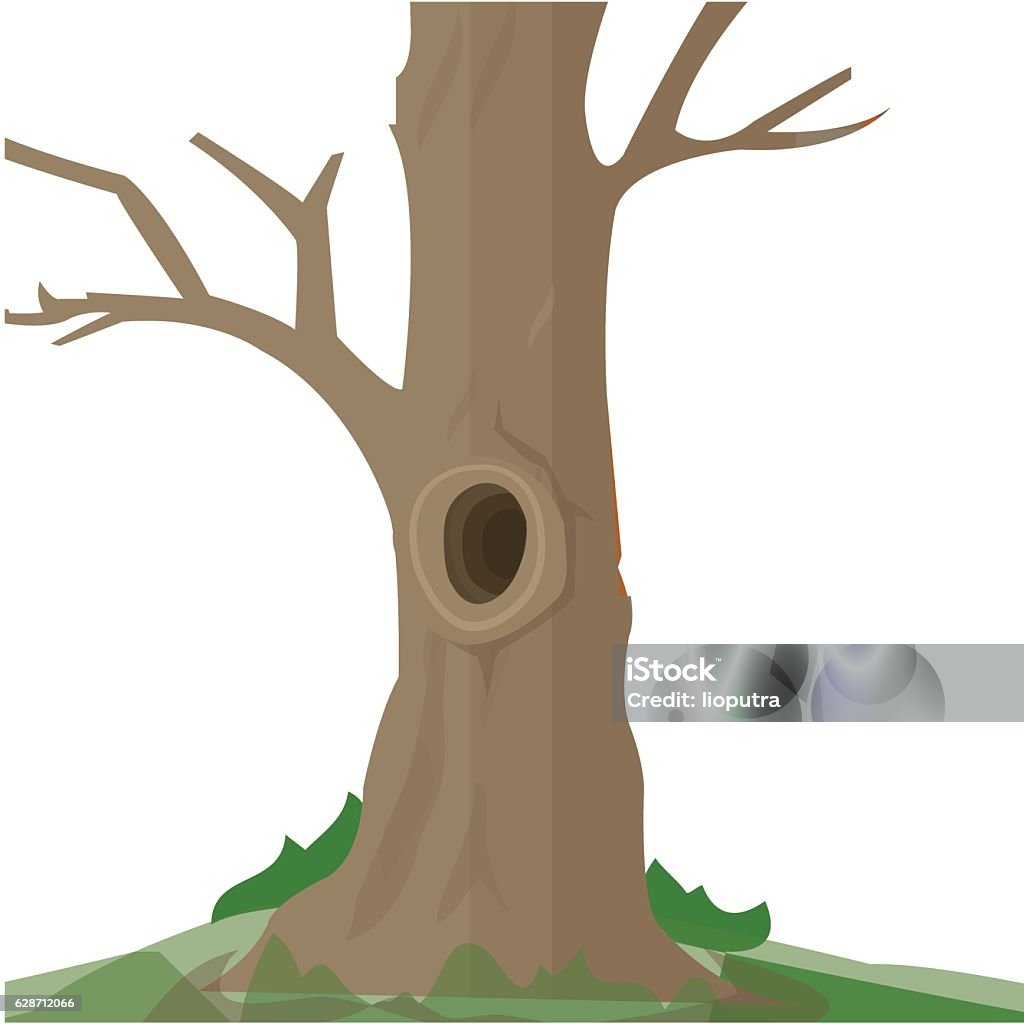 My Image 7