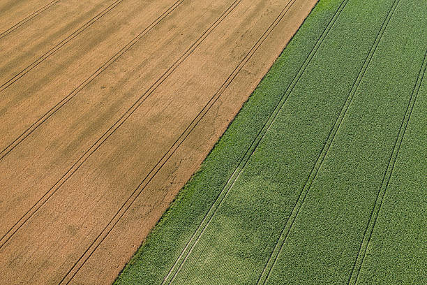 istock aerial view of green harvest fields 628712626