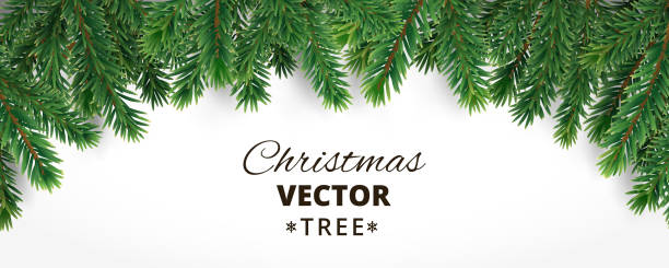 Banner with vector christmas tree branches and space for text. Banner with vector christmas tree branches and space for text. Realistic fir-tree border, frame isolated on white. Great for christmas cards, banners, flyers, party posters, headers. pine garland stock illustrations