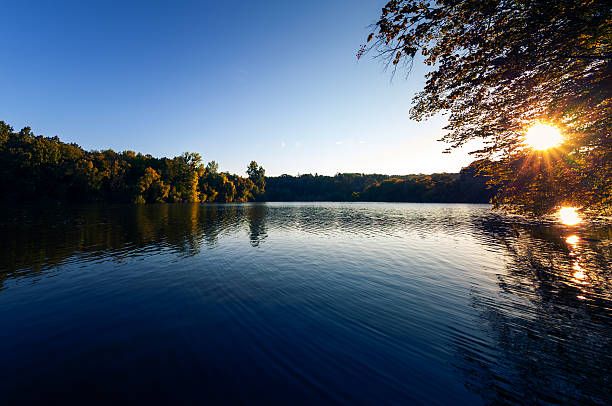 istock Picturesque forest and the river 628736144