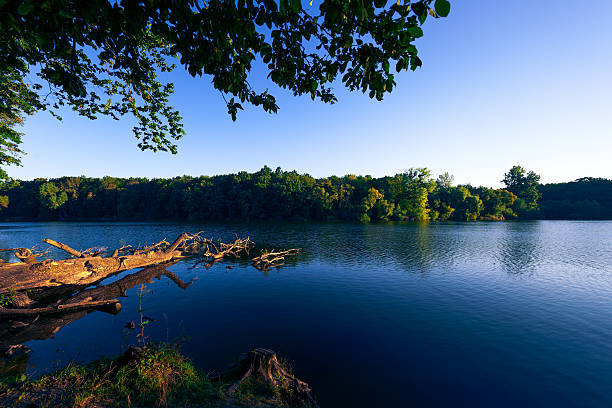 istock Picturesque forest and the river 628736198