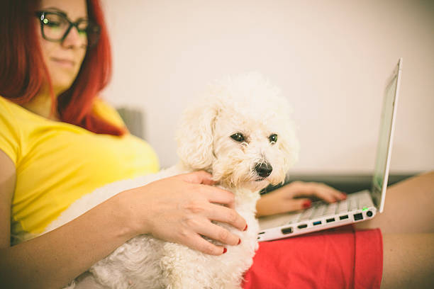 istock Woman is working with laptop and her dog 628736412