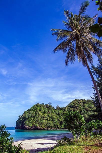 Tarutao national park, Thailand Tarutao national park, Thailand tarutao stock pictures, royalty-free photos & images