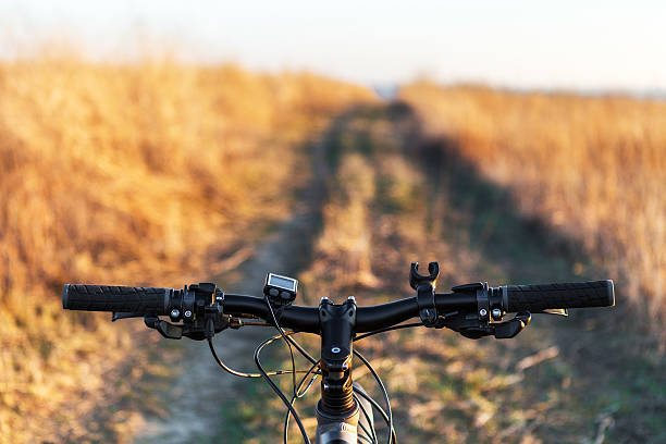 istock Mountain biking down hill descending fast on bicycle. View from 628737930