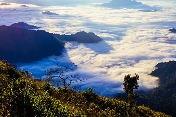 istock Sunrise and sea of mist, view from  phucheefa forest park 628738376