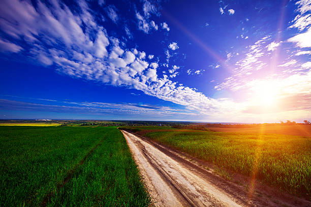 istock Green Field and Beautiful Sunset 628738610