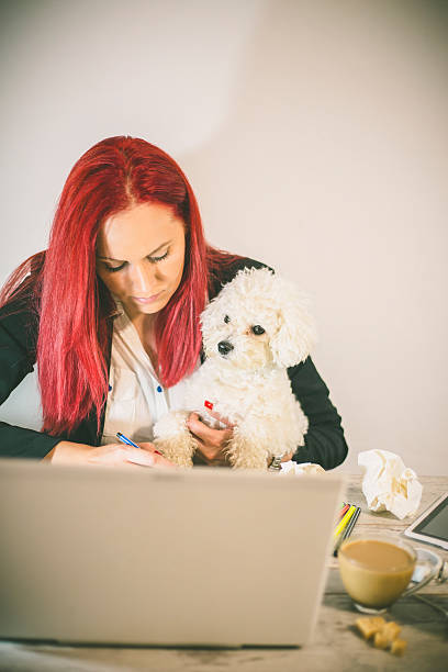 istock working at home office and holding her puppy 628748514