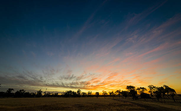 istock The beautiful sunset in the Hyden, Western Australia 628749598