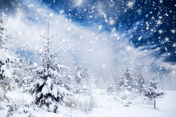 istock Winter landscape with snowy fir trees 628750472