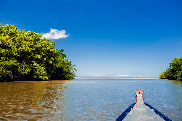 Caroni River mouth boat ride open sea through mangroves stock photo