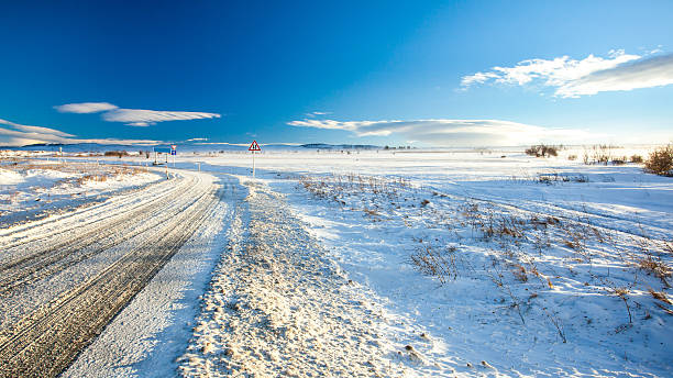 istock Countryside road with snow, Gori, Georgia 628751628